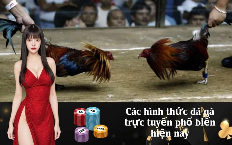 Các hình thức đá gà trực tuyến phổ biến hiện nay