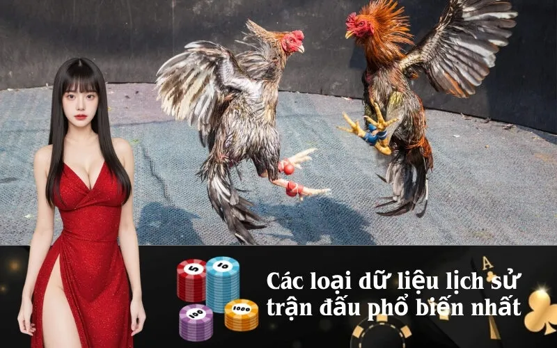 Các loại dữ liệu lịch sử trận đấu phổ biến nhất