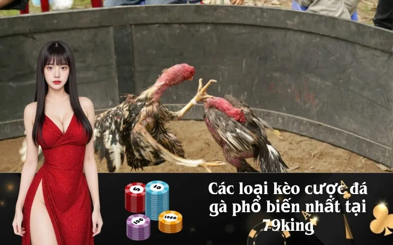 Các loại kèo cược đá gà phổ biến nhất tại 79king