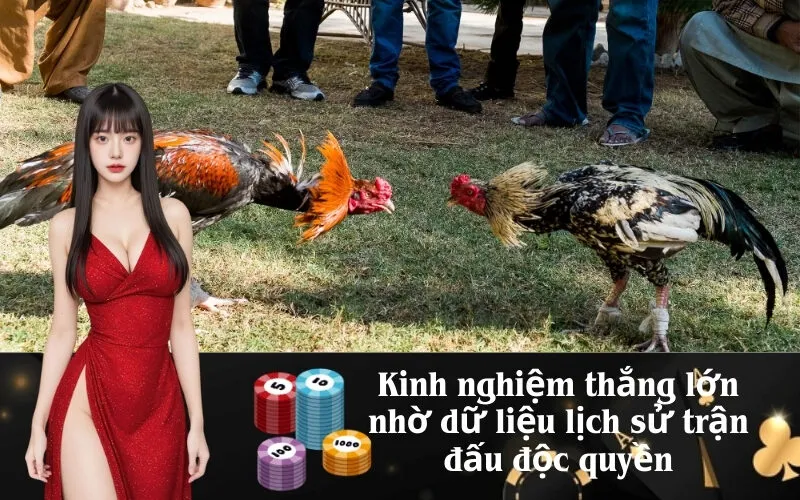 Kinh nghiệm thắng lớn nhờ dữ liệu lịch sử trận đấu độc quyền